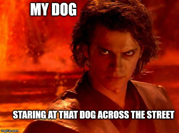 Dog nemesis | MY DOG; STARING AT THAT DOG ACROSS THE STREET | image tagged in you underestimate my power,dog,nemesis,angry stare,funny | made w/ Imgflip meme maker