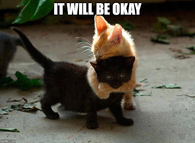 kitten hug | IT WILL BE OKAY | image tagged in kitten hug | made w/ Imgflip meme maker