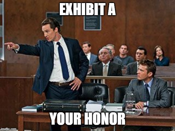 lawyer | EXHIBIT A YOUR HONOR | image tagged in lawyer | made w/ Imgflip meme maker