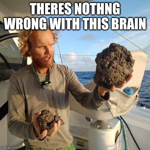 THERES NOTHNG WRONG WITH THIS BRAIN | made w/ Imgflip meme maker