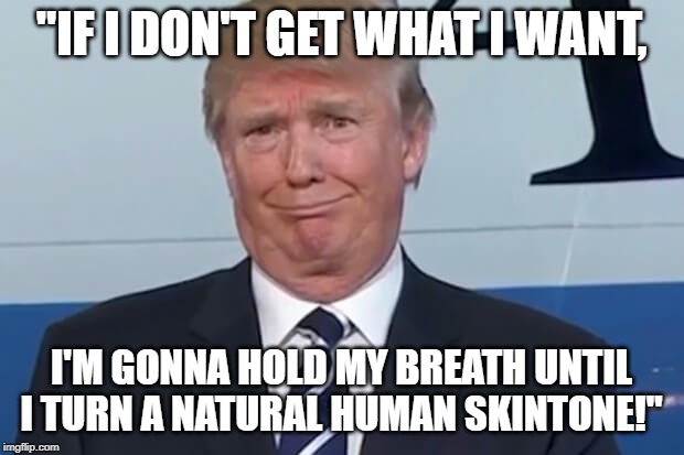 donald trump | "IF I DON'T GET WHAT I WANT, I'M GONNA HOLD MY BREATH UNTIL I TURN A NATURAL HUMAN SKINTONE!" | image tagged in donald trump | made w/ Imgflip meme maker