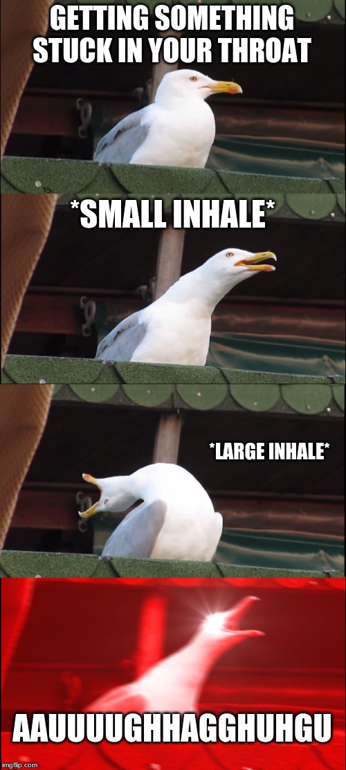 Inhaling Seagull Meme | GETTING SOMETHING STUCK IN YOUR THROAT; *SMALL INHALE*; *LARGE INHALE*; AAUUUUGHHAGGHUHGU | image tagged in memes,inhaling seagull | made w/ Imgflip meme maker