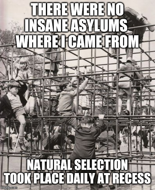 Monkey Bars | THERE WERE NO
INSANE ASYLUMS 
WHERE I CAME FROM; NATURAL SELECTION TOOK PLACE DAILY AT RECESS | image tagged in monkey bars | made w/ Imgflip meme maker