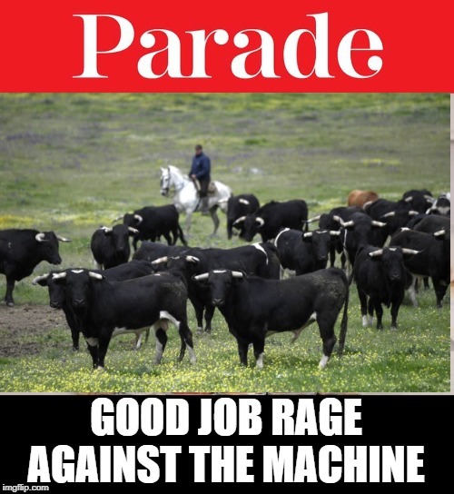 They Made the Cover! | image tagged in magazines,irony | made w/ Imgflip meme maker