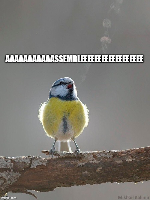 AAAAAAAAAAASSEMBLEEEEEEEEEEEEEEEEEE | made w/ Imgflip meme maker