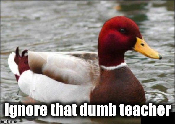 Malicious Advice Mallard Meme | Ignore that dumb teacher | image tagged in memes,malicious advice mallard | made w/ Imgflip meme maker