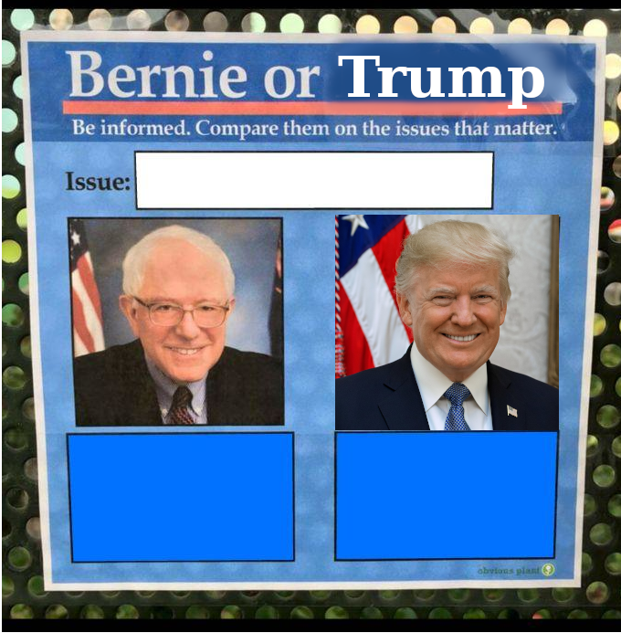 High Quality Bernie or Trump on the issues Blank Meme Template
