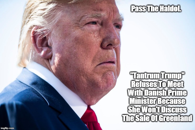 Pass The Haldol. "Tantrum Trump" Refuses To Meet With Danish Prime Minister Because She Won't Discuss The Sale Of Greenland | made w/ Imgflip meme maker