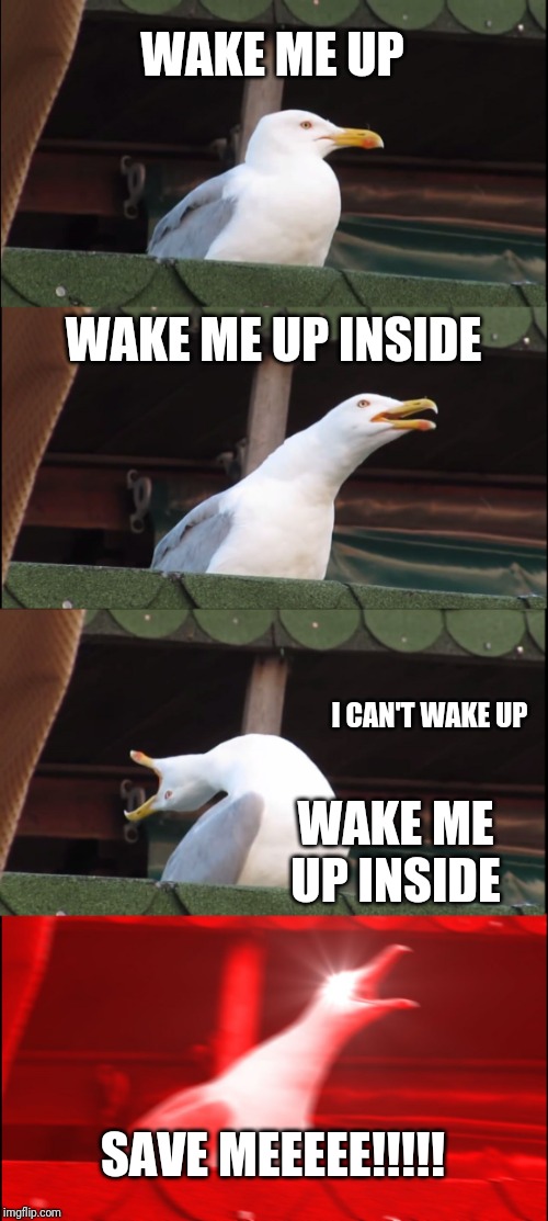 Wake me up! | WAKE ME UP; WAKE ME UP INSIDE; I CAN'T WAKE UP; WAKE ME UP INSIDE; SAVE MEEEEE!!!!! | image tagged in memes,inhaling seagull | made w/ Imgflip meme maker