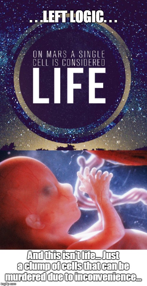 Life | . . .LEFT LOGIC. . . And this isn't life... Just a clump of cells that can be murdered due to inconvenience... | image tagged in left logic | made w/ Imgflip meme maker