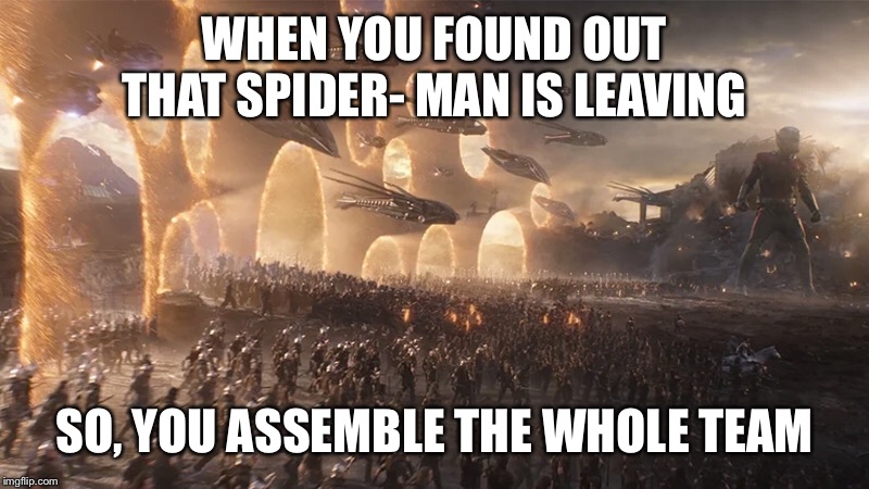 Spider- Man leaving the MCU | WHEN YOU FOUND OUT THAT SPIDER- MAN IS LEAVING; SO, YOU ASSEMBLE THE WHOLE TEAM | image tagged in funny memes,avengers endgame | made w/ Imgflip meme maker