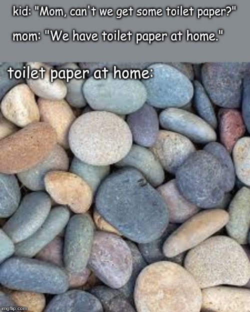 ancient history kids know | kid: "Mom, can't we get some toilet paper?"; mom: "We have toilet paper at home."; toilet paper at home: | image tagged in memes,history | made w/ Imgflip meme maker
