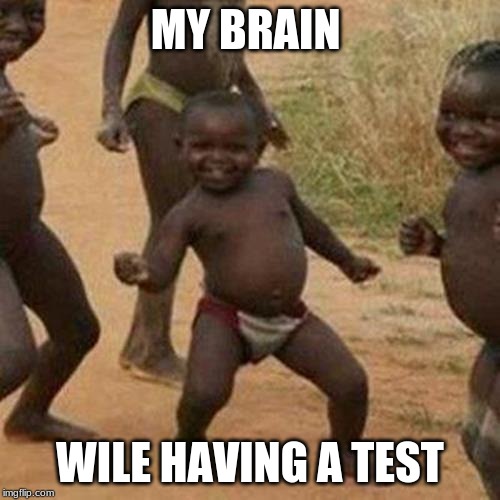 Third World Success Kid | MY BRAIN; WILE HAVING A TEST | image tagged in memes,third world success kid | made w/ Imgflip meme maker
