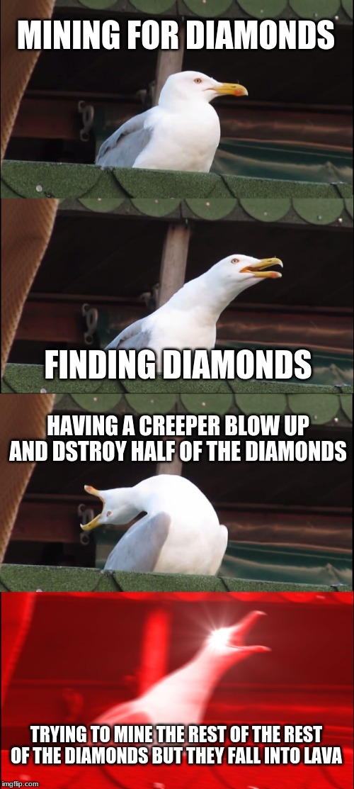 Inhaling Seagull Meme | MINING FOR DIAMONDS; FINDING DIAMONDS; HAVING A CREEPER BLOW UP AND DSTROY HALF OF THE DIAMONDS; TRYING TO MINE THE REST OF THE REST OF THE DIAMONDS BUT THEY FALL INTO LAVA | image tagged in memes,inhaling seagull | made w/ Imgflip meme maker