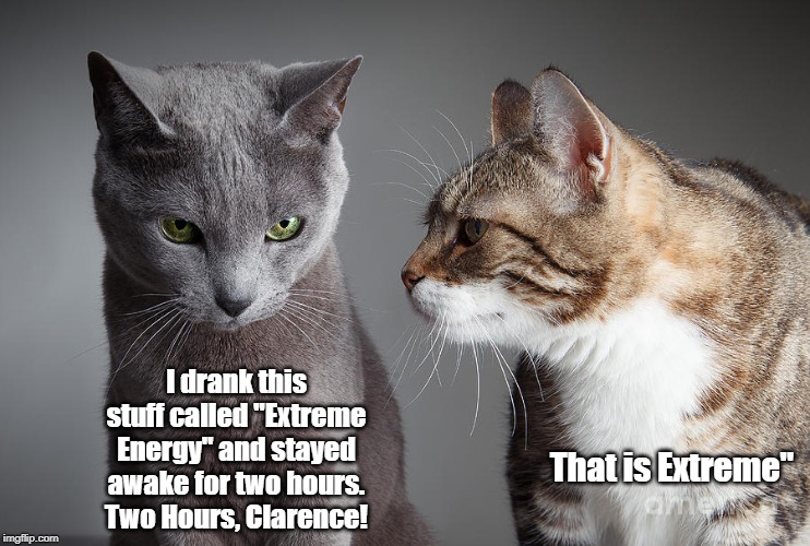 Two cats | I drank this stuff called "Extreme Energy" and stayed awake for two hours. Two Hours, Clarence! That is Extreme" | image tagged in cats | made w/ Imgflip meme maker