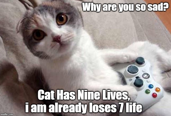 cat life | Why are you so sad? Cat Has Nine Lives, i am already loses 7 life | image tagged in cat | made w/ Imgflip meme maker
