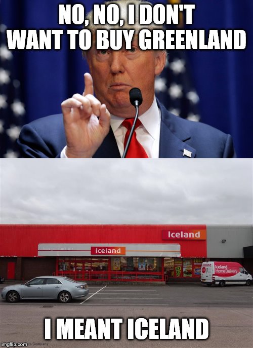 NO, NO, I DON'T WANT TO BUY GREENLAND; I MEANT ICELAND | image tagged in donald trump | made w/ Imgflip meme maker