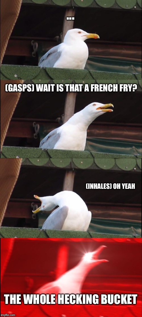 Inhaling Seagull | ... (GASPS) WAIT IS THAT A FRENCH FRY? (INHALES) OH YEAH; THE WHOLE HECKING BUCKET | image tagged in memes,inhaling seagull | made w/ Imgflip meme maker