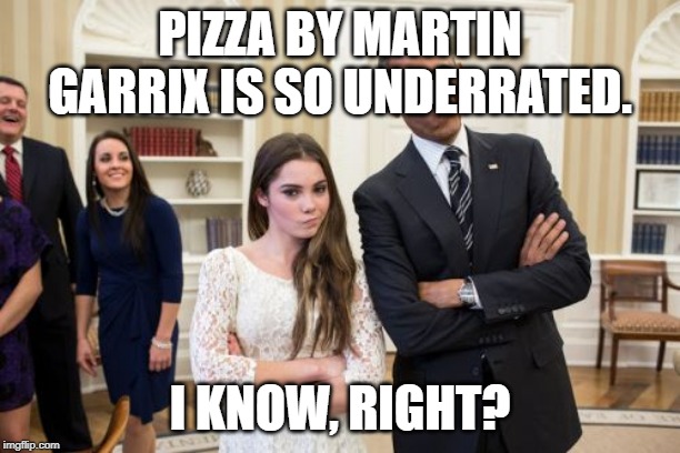 It really is underrated! |  PIZZA BY MARTIN GARRIX IS SO UNDERRATED. I KNOW, RIGHT? | image tagged in memes,maroney and obama not impressed | made w/ Imgflip meme maker