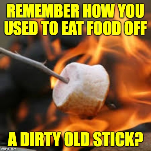 Just feeling nostalgic today  ( : | REMEMBER HOW YOU USED TO EAT FOOD OFF; A DIRTY OLD STICK? | image tagged in memes,camping,marshmallows,those were the days | made w/ Imgflip meme maker