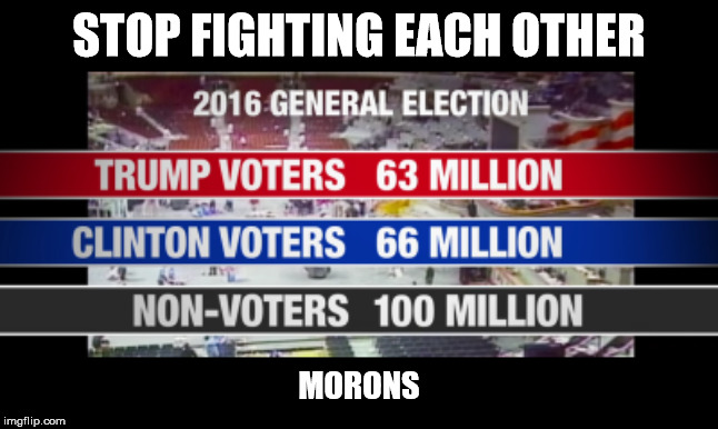 STOP FIGHTING EACH OTHER; MORONS | image tagged in voters | made w/ Imgflip meme maker