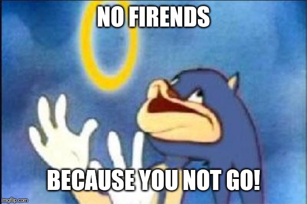 Sonic derp | NO FIRENDS BECAUSE YOU NOT GO! | image tagged in sonic derp | made w/ Imgflip meme maker