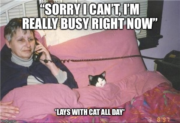 cat lady | “SORRY I CAN’T, I’M REALLY BUSY RIGHT NOW”; *LAYS WITH CAT ALL DAY* | image tagged in cat lady | made w/ Imgflip meme maker