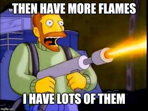 Kill it with fire | THEN HAVE MORE FLAMES I HAVE LOTS OF THEM | image tagged in kill it with fire | made w/ Imgflip meme maker