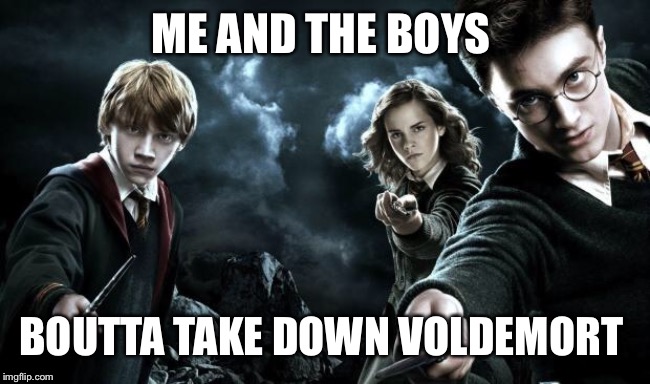 Harry Potter Wands | ME AND THE BOYS; BOUTTA TAKE DOWN VOLDEMORT | image tagged in harry potter wands | made w/ Imgflip meme maker