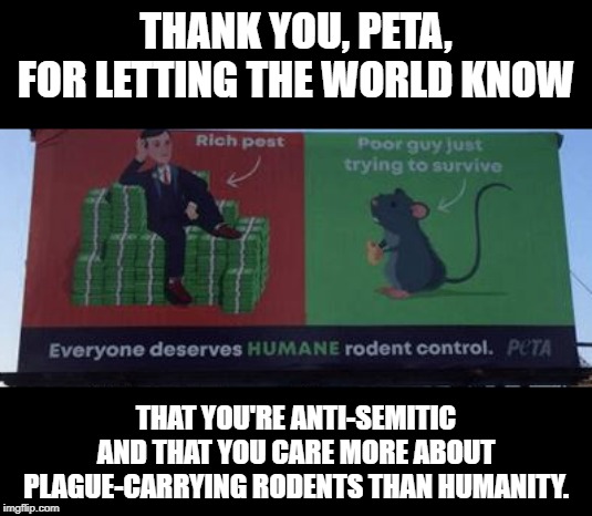 Mind you, THE WASHINGTON POST called these people out. Peta's in trouble. | THANK YOU, PETA, FOR LETTING THE WORLD KNOW; THAT YOU'RE ANTI-SEMITIC
AND THAT YOU CARE MORE ABOUT PLAGUE-CARRYING RODENTS THAN HUMANITY. | image tagged in memes,peta,jared kushner,rats,anti semitism,washington post | made w/ Imgflip meme maker
