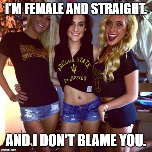 I'M FEMALE AND STRAIGHT. AND I DON'T BLAME YOU. | made w/ Imgflip meme maker