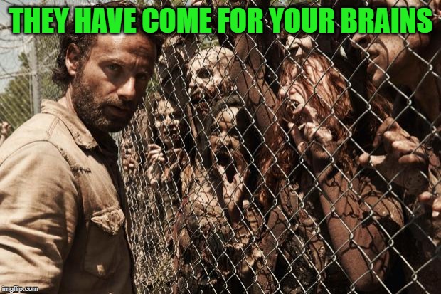zombies | THEY HAVE COME FOR YOUR BRAINS | image tagged in zombies | made w/ Imgflip meme maker