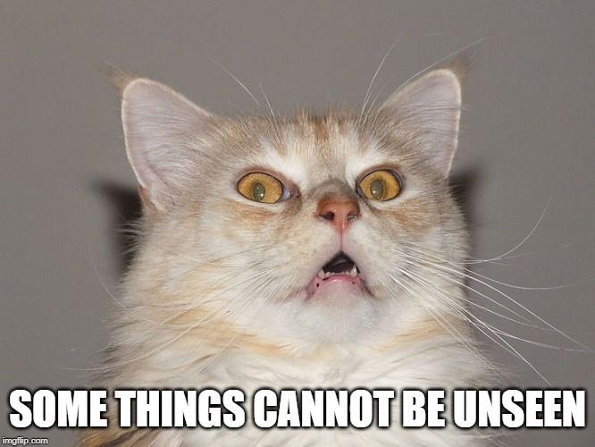 Surprised Cat / Startled Cat / Scared Cat / Spooked Cat | SOME THINGS CANNOT BE UNSEEN | image tagged in surprised cat / startled cat / scared cat / spooked cat | made w/ Imgflip meme maker