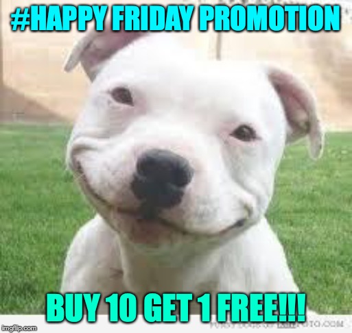 Happy Friday Puppy | #HAPPY FRIDAY PROMOTION; BUY 10 GET 1 FREE!!! | image tagged in happy friday puppy | made w/ Imgflip meme maker