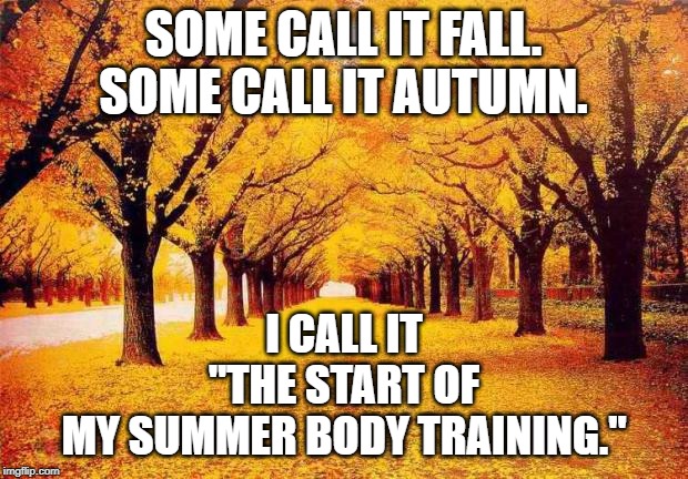 Autumn trees | SOME CALL IT FALL. SOME CALL IT AUTUMN. I CALL IT "THE START OF MY SUMMER BODY TRAINING." | image tagged in autumn trees | made w/ Imgflip meme maker