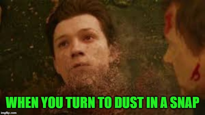 WHEN YOU TURN TO DUST IN A SNAP | made w/ Imgflip meme maker