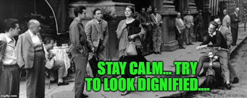 STAY CALM... TRY TO LOOK DIGNIFIED.... | made w/ Imgflip meme maker