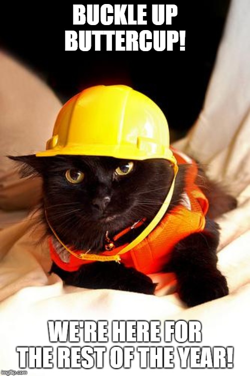 Construction Cat | BUCKLE UP BUTTERCUP! WE'RE HERE FOR THE REST OF THE YEAR! | image tagged in construction cat | made w/ Imgflip meme maker