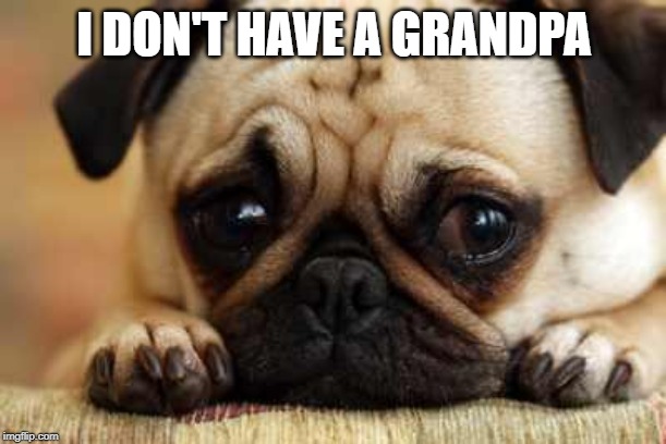 Sad Dog | I DON'T HAVE A GRANDPA | image tagged in sad dog | made w/ Imgflip meme maker
