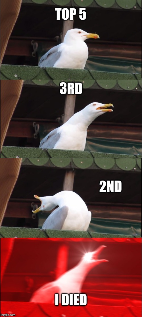Inhaling Seagull | TOP 5; 3RD; 2ND; I DIED | image tagged in memes,inhaling seagull | made w/ Imgflip meme maker