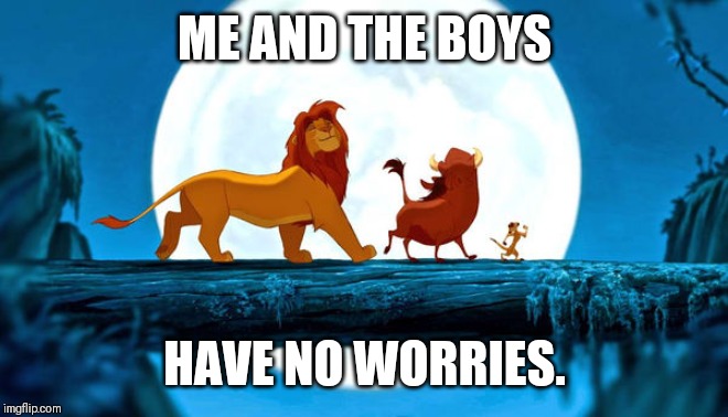 lion king | ME AND THE BOYS; HAVE NO WORRIES. | image tagged in lion king | made w/ Imgflip meme maker