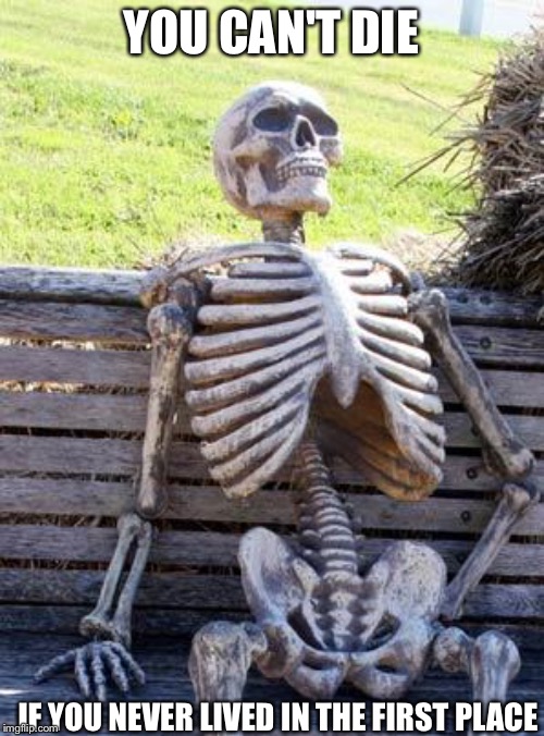 Waiting Skeleton Meme | YOU CAN'T DIE; IF YOU NEVER LIVED IN THE FIRST PLACE | image tagged in memes,waiting skeleton | made w/ Imgflip meme maker