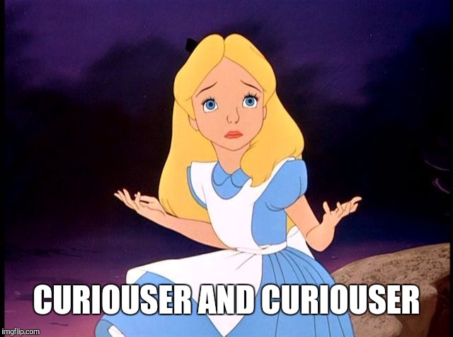 Alice in Wonderland | CURIOUSER AND CURIOUSER | image tagged in alice in wonderland | made w/ Imgflip meme maker