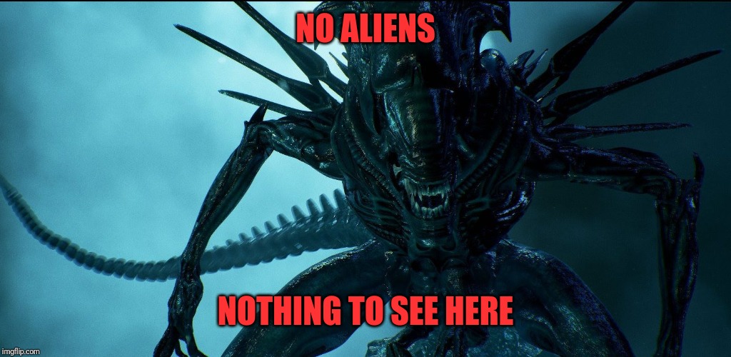 Alien Queen | NO ALIENS NOTHING TO SEE HERE | image tagged in alien queen | made w/ Imgflip meme maker