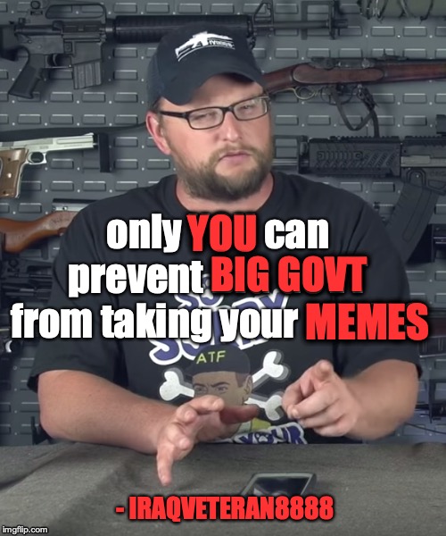 YOU; BIG GOVT; only YOU can prevent BIG GOVT from taking your MEMES; MEMES; - IRAQVETERAN8888 | image tagged in memes,guns | made w/ Imgflip meme maker