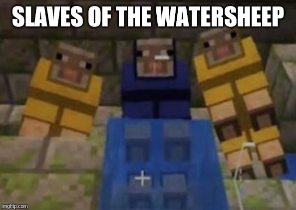 SLAVES OF THE WATERSHEEP | made w/ Imgflip meme maker
