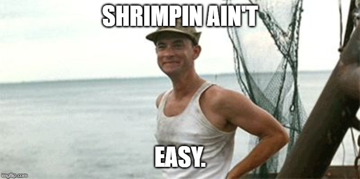 Forrest Gump Waving | SHRIMPIN AIN'T; EASY. | image tagged in forrest gump waving | made w/ Imgflip meme maker