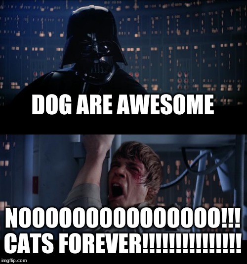 Star Wars No Meme | DOG ARE AWESOME; NOOOOOOOOOOOOOOO!!!
CATS FOREVER!!!!!!!!!!!!!!! | image tagged in memes,star wars no,cats | made w/ Imgflip meme maker