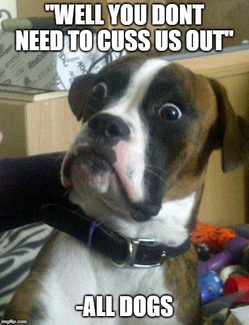 Blankie the Shocked Dog | "WELL YOU DONT NEED TO CUSS US OUT"; -ALL DOGS | image tagged in blankie the shocked dog | made w/ Imgflip meme maker