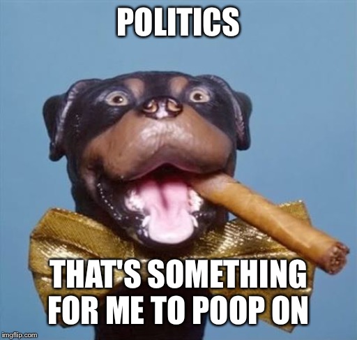 Triumph the Insult Comic Dog | POLITICS; THAT'S SOMETHING FOR ME TO POOP ON | image tagged in triumph the insult comic dog | made w/ Imgflip meme maker